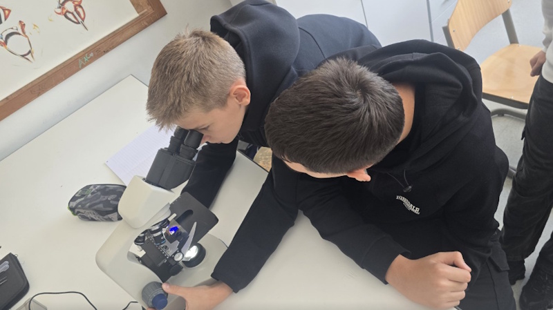 Realizacija projektnog časa